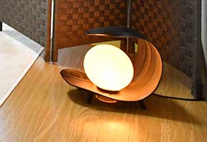 room_light.jpg